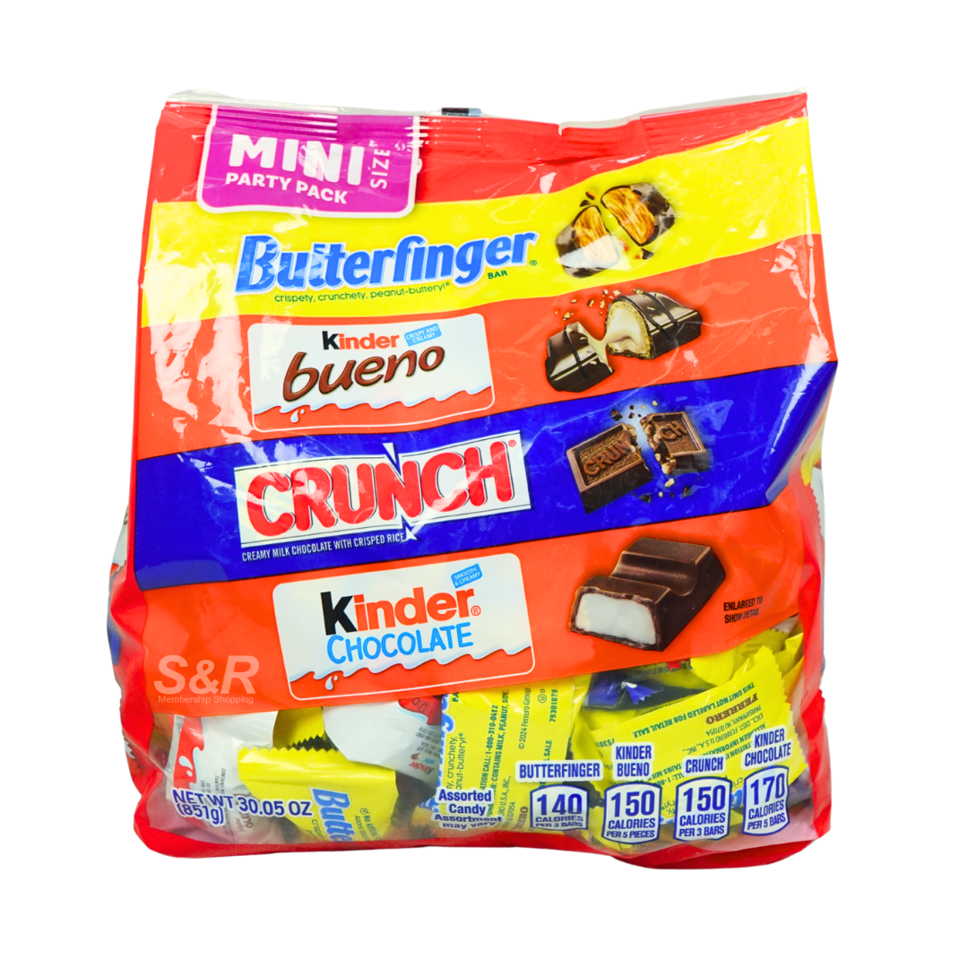 Assorted Mini Chocolate Candy Party Pack 851g
